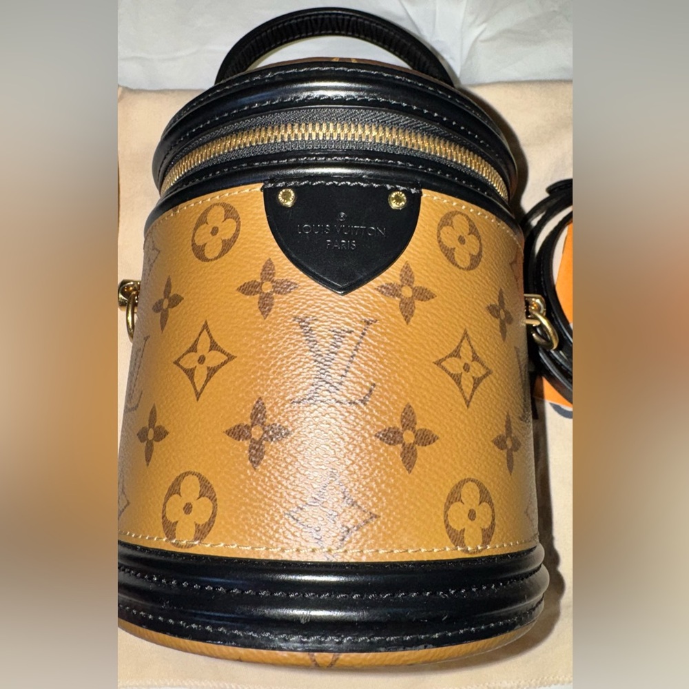 Authentic Louis Vuitton Cannes Monogram Reverse Canvas Bag - Picture 10 of 16